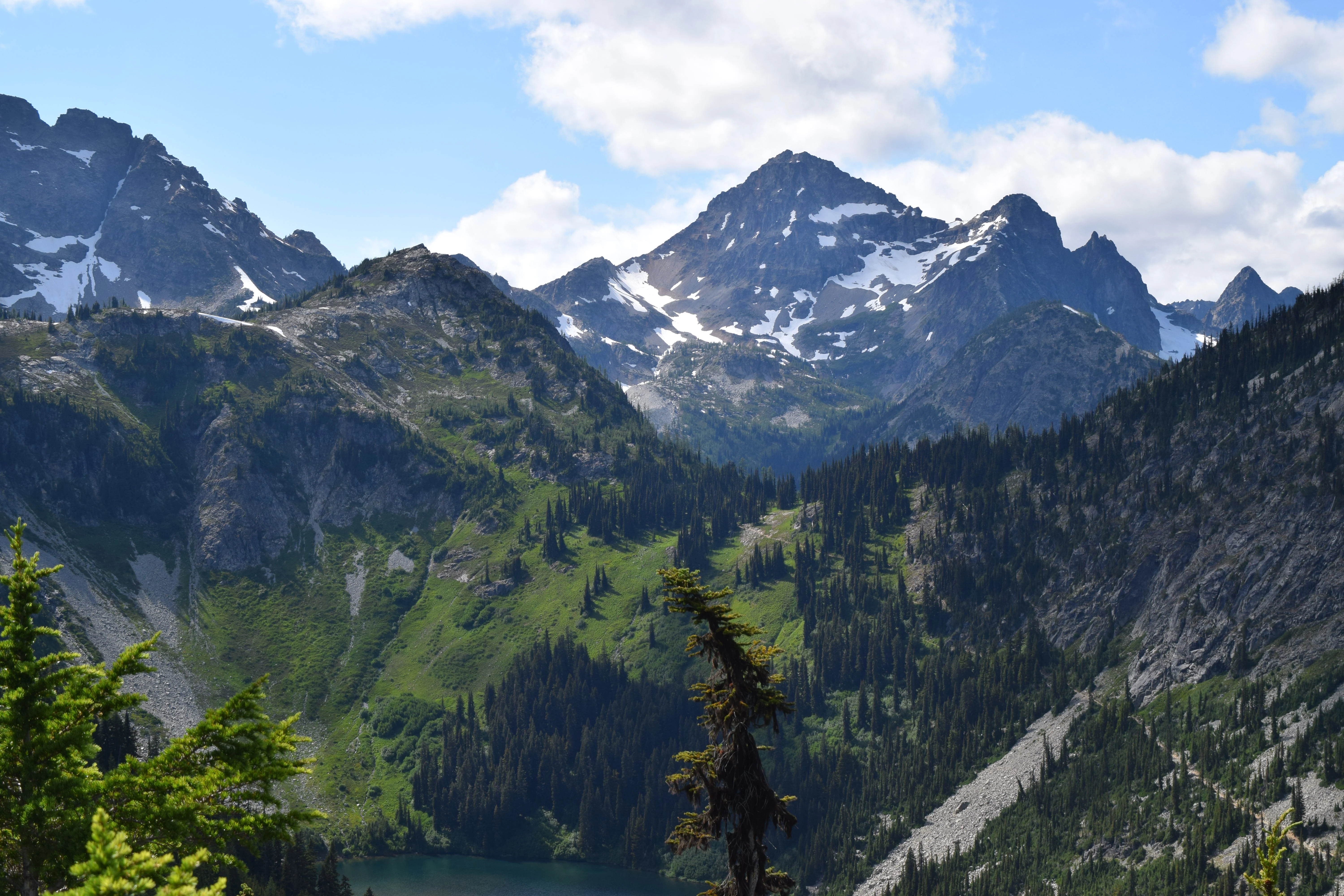 Maple Pass Loop Meadow